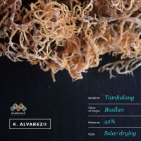 Selling Dried seaweed kappaphycus alvarezii