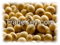 Soybeans