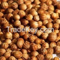 URGENT: Coriander whole seeds, large, 2015