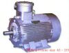 Sell Explosion-Proof Three Phase Induction Motor (YB2)