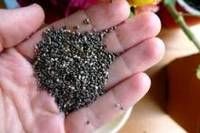 Cumin Seeds, Chia Seeds, Ssame Seeds, Pumpkin Seeds, Sunflower Seed