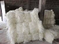 UG Grade Sisal Fiber / Kenyan Sisal Fibre / Sisal Fiber Supplier