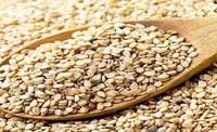 Sesame Seeds for Sale