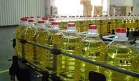 Refined Sunflower Oil for Sale