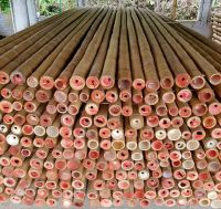 Dry Bamboo Poles