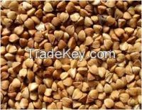Buckwheat for sale