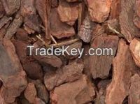 Pine bark extract for sale
