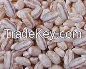 Quality Pearl Barley For Sale