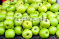 FRESH GREEN APPLES/GRANNY SMITH APPLES