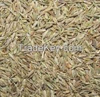 Cumin Seeds