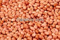 groundnut kernels