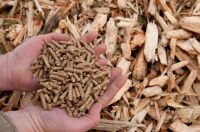 Wood pellets