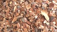Cocoa shells and Husk