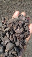 Palm Kernel Shells
