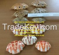 DRIED CRAB SHELL