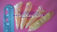 DRIED FISH MAW