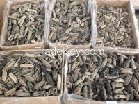 Best Quality Dried Sea Cucumber, Sea Horse, White Teat Fish