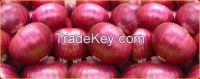 Fresh Red Onion