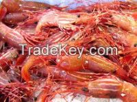 Aquatic Frozen whole Crawfish/crayfish seasoned with chili powder, cajun style