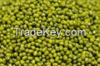 Green Mung Beans