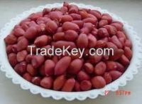 Red Skin Peanut kernel