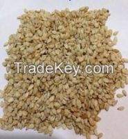 Sunflower Seed , Sesame Seed , Moringa Seeds , Poppy Seeds