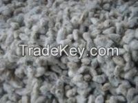 High Quality Cotton Seeds