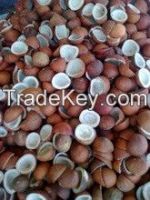 Dried coconut copra for sale