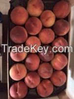 Fresh peach fruit