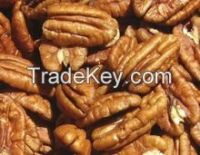 Pecan Nuts For Sale, Pecan Nut In Shell , Pecan Nut Pieces