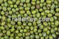 Mung Beans Green