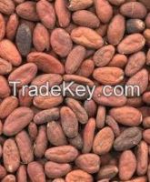 Wholesale Cocoa Beans