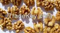 Walnut & Walnut Kernel