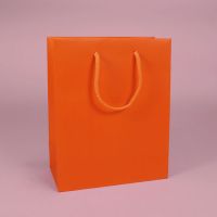 Sell Euro Tote Paper Bag(HD-SG-E005)
