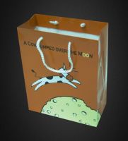 Sell Gift paper bags(HD-SG-004)