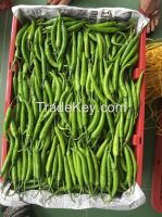 Green Chilli Pepper expands your business