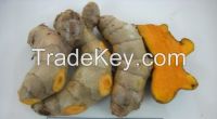 Fresh Turmeric New Crop