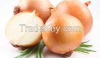 Supplier of Yellow Onion