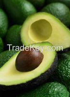 Avocado from Vietnamese manufacturer