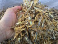 Special Dried Anchovy For Sales