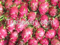 Delicious Dragon Fruits For Sales From Vietnam