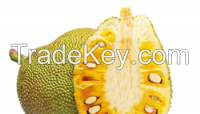 JACKFRUIT_Hot Price!