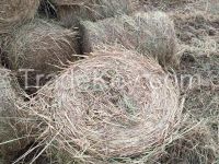 Rolling Straw For Sale With Competitive Price