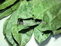 Dried Graviola Leaves