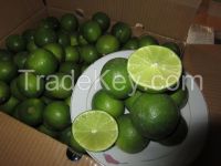 Lemon For Sale From Vietnam