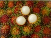 Rambutant Fruit For Sale With Competitive Price