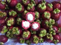 Mangosteen For Sale With Competitive Price