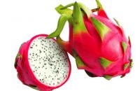 Dragon Fruit for health human