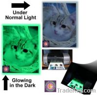 Sell glow photo paper photoluminescent paper