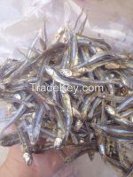 Dried anchovy from Viet Nam with high quality
